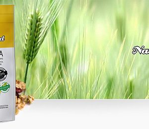 Granola Super c/Lino x250g Natural Seed